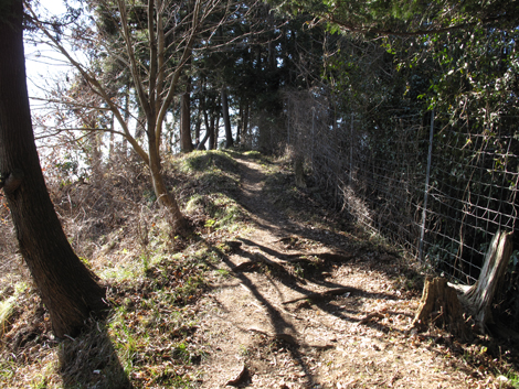 20170126hike (106)